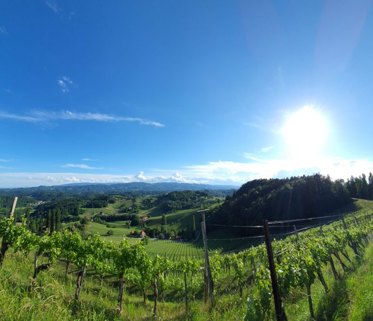 Wein in der Bushütte: Eine Genusstour durch die Südsteiermark